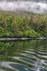 Alaska-Tongass National Forest Boat wake ripples in Mirror Harbor Art Print